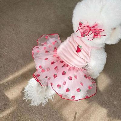 Summer Cute Mesh Strawberry Sundress for Pets - Lightweight Dog & Cat Apparel