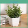 Artificial Eucalyptus Greenery Potted Plant For Indoor Wedding Photography Decor
