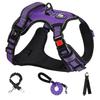 NESTROAD Adjustable Dog Harness with Reflective Night Lights for and Large Breathable Walking Training for Shiba Inu and Akita Inu Small, Medium,