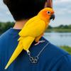 Bite Resistant Anti-flying Training Leash Lightweight Bird Foot Chain Pet Bird Harness  Walking