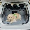 New Dog Car Pet Mat Waterproof Car Rear Seat Pet Car Mat Removable Dog Mat for Car Use