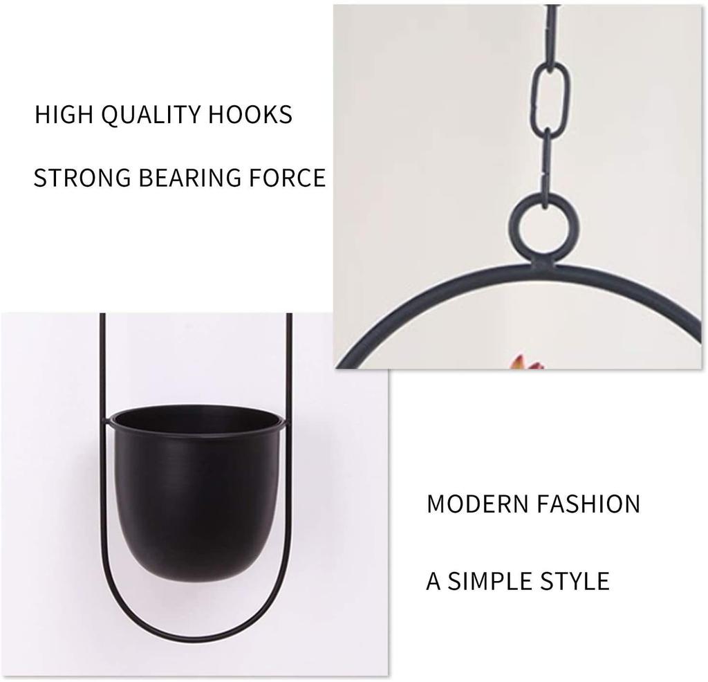 European Wrought Iron Hanging Hydroponic Planter for Spider Plants