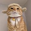 Koreanischer Stil Warme Katze Fliegerhut Lammfell Winddicht Flauschiger Hundehut mit Ohrloch Winter Hundehut Outdoor-Aktivitäten