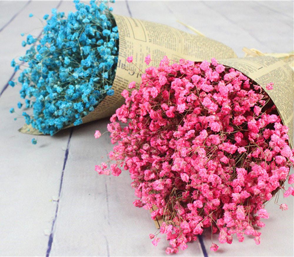 Natürliche Trockenblumen Schleierkraut Heimdekoration Natürliche Trockenblumen Volle Sterne