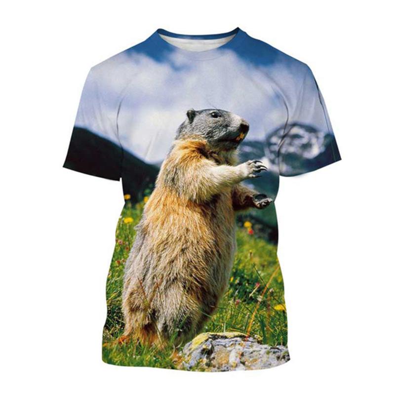 HerSight Grappige Marmot Patroon 3D Print T-shirts Heren O-hals Korte Mouw Oversized Top L