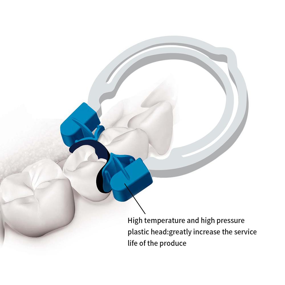 Dental Matrix Sectional Contoured Matrices Clamps Model With Replacement Parts For Dental Restoration Tools