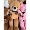 Heart Teddy Bear Scarf Couple Warm Plush Toy Bear, Valentine's Day Gift, Removable Washable Cover
