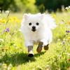 4pcs/set Thickened Anti-Slip Dog Shoes Warm Puppy Socks Booties Dog Cotton Shoes  Mountain Hiking