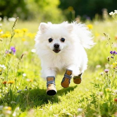 4pcs/set Warm Dog Cotton Shoes Thickened Wear-Resistant Dog Snow Boots Comfortable Reflection Dog Paw Protector Mountain Hiking