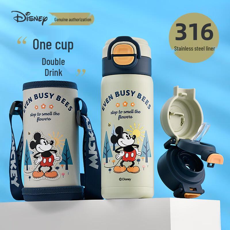 Disney Kids 316 Stainless Steel Insulated Water Bottle