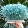 1M Natural Ostrich Feathers Trim White Clothing Sewing Ribbon 8-10cm Feather Fringe for Wedding Party Decoration Crafts Plumes