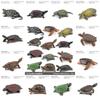 Aquatic Reptile Tortoise Pvc Model Set With Realistic Detailing For Educational Collection