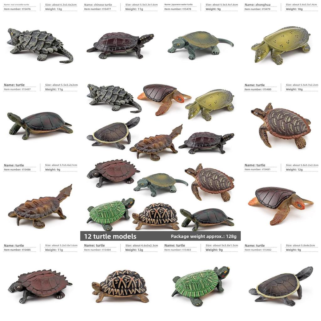Aquatic Reptile Tortoise Pvc Model Set With Realistic Detailing For Educational Collection