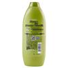 Piao Rou Daily Care Oil Control Shampoo