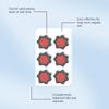30Pcs Body Slimming Patches Gentle Weight Loss Plasters For Moisturizing Skin &Enhancing Body Contourings In Daily Use