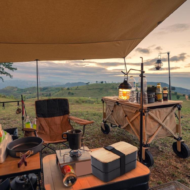 Multi Sectional Lunch Container Food Grade Materials Lunch Box Elegant Food Storage Container with Warm Keep Bag