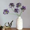 Long Branch Agapanthus Flowers Branch Fake Artificial Flower Fake Lotus Flower  Table Accessories