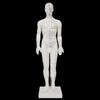 XINMAN Human Acupuncture Practice Model