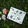 Dried Flower Embossing Device, Herbarium Making Tool, Handmade Flowers, Fruit Slices, Dried Leaves, Flower Board DIY
