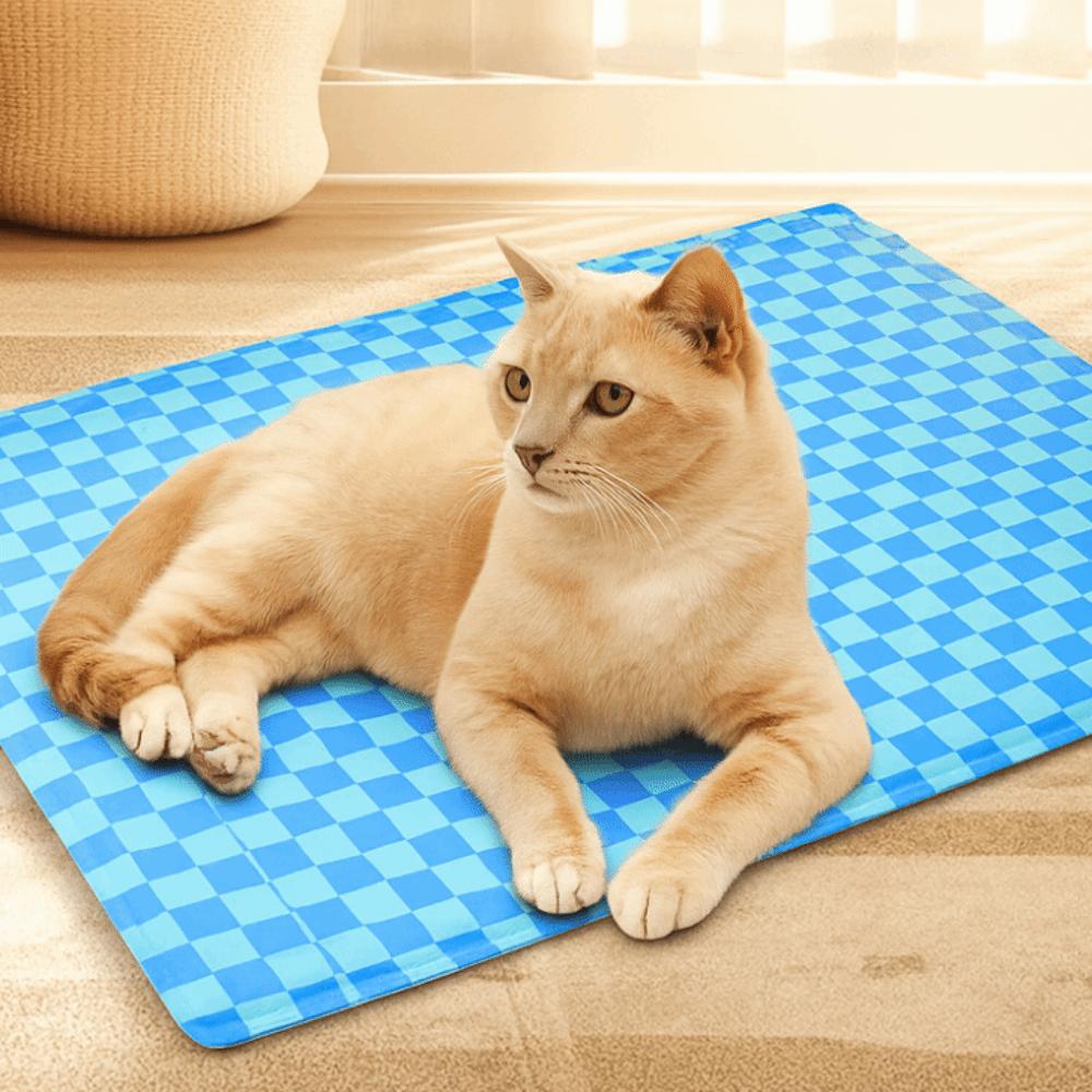 Adjustable Pet Electric Blanket Timing Dog Cat Warmer Cat Heating Pad  Autumn Winter Season