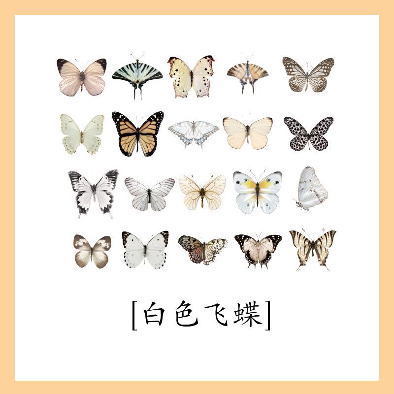 1SET/40PCS PET butterfly sticker DIY hand tent Goo card decorative material children's cartoon water cup sticker hand tent landscaping sticker