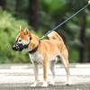 Dog Muzzle Reflective Adjustable Prevent Biting Hollow Dog Mouth Guard for Walking Grooming Home