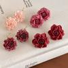 Retro Preserved Flower Earrings Sweet Romantic Ear Hooks Elegant Artificial Rose Earrings  Wedding