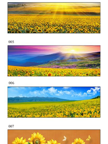 Sunflower Wall Art: Elegant Aluminum Alloy Frame for Living Room Décor