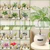 Money Tree Hydroponic Radish: Lazy Indoor Potted Plant for Winter - High-End Greenery for Living Room