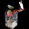 Transparent Handheld Flower Box Paper Box Handbag Bouquet Wrapping Bag Portable Packing Material Flower Bag Valentine Day