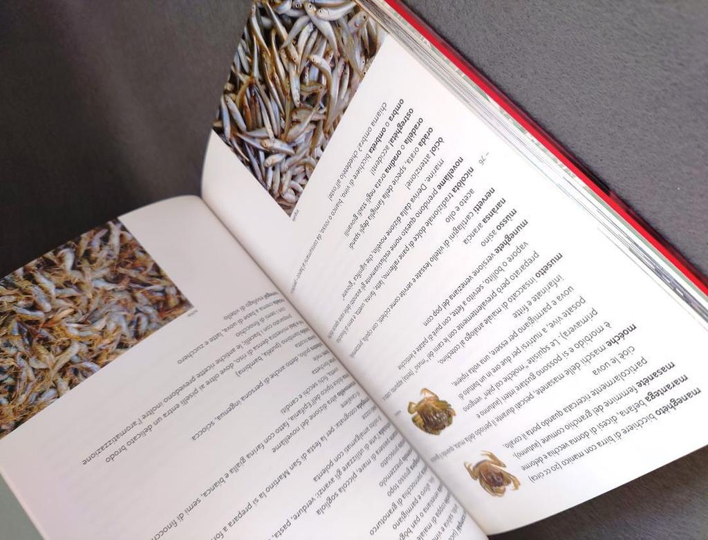 [USED] Italian Book Osteria Michelin Map