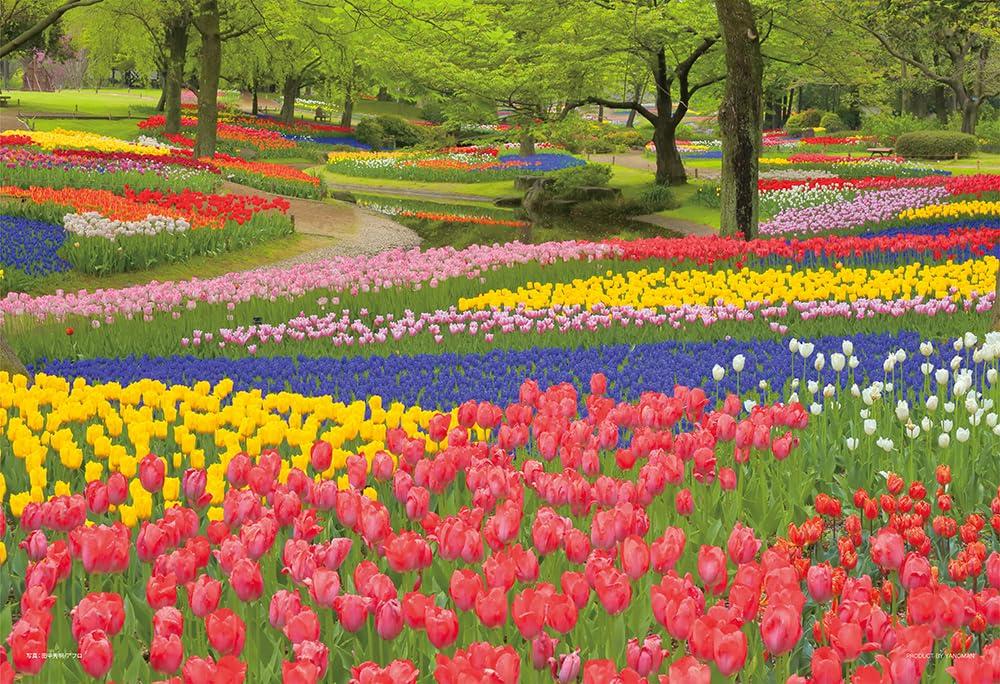Yanoman [Made In Japan] 108-Piece Jigsaw Puzzle, Large Pieces, Japanese Landscape: Blooming Showa Memorial Park, Tokyo (26x38cm), 01-2090, Includes