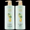 Shu Lei Green Tea Seed Anti-Dandruff Oil Control Shampoo Twin Pack