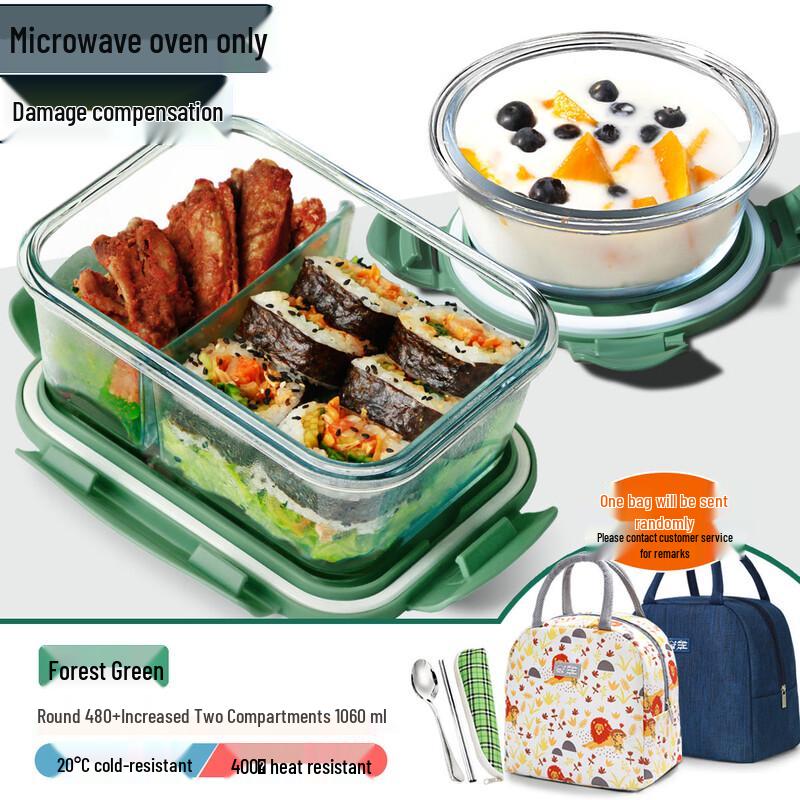Misty Forest Green Divided Glass Lunch Box Set