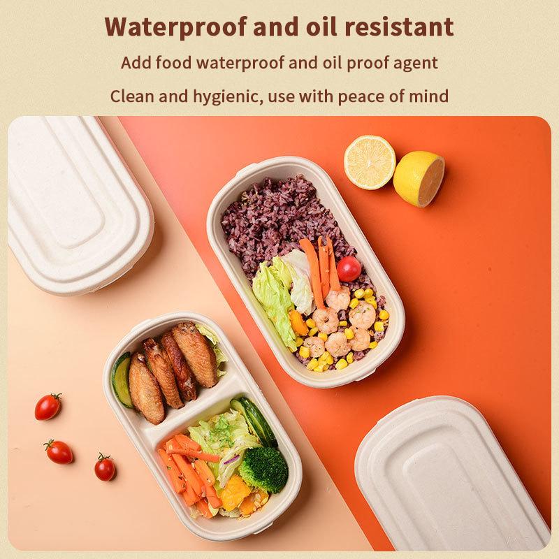 Disposable Takeaway Light Food Lunch Box Biodegradable Pulp Salad Box Environmentally Friendly Pulp Sushi Fat Reducing Bento Box