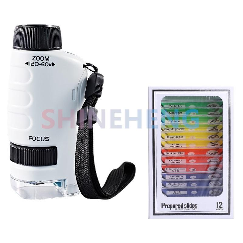 Taschenmikroskop, Wissenschaftsspielzeug für Kinder, 60-120-faches pädagogisches Mini-Handmikroskop mit LED-Licht, Outdoor-Kinder-Stammspielzeug