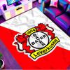 Bayer 04 Leverkusen Druckteppich, Waschbarer Bodenteppich, Für Eingangsbereich Studentenwohnheim Waschküche Büro Arbeitszimmer, Heimdekoration Geburtstag Weihnachtsgeschenk
