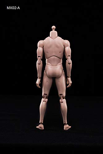 Neinei [Tbmodel] 1/6 Male Action Figure Body Set MX02-A