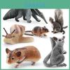 Conjunto Realista de Modelos de Animais da Floresta Incluindo Hamster Caracol Esquilo Voador Rato Suricato Tamanduá Para Crianças Brincadeira Educativa Divertida