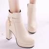 2026 autumn and winter plus thick heel high-heeled women's short boots with plush warm leather boots, fashionable low cut boots