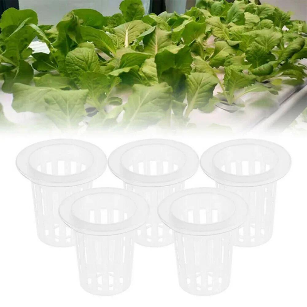 

50PCS Plant Net Cup And 50PCS Cylinders Sponge For Hydroponic Plant Starting Garden Planting Supplies 35*35mm Plastic Net Cups China Mainland
