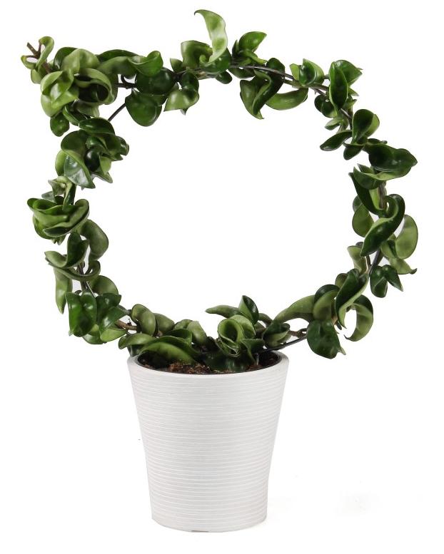 Composite Flowerpot White With Indentations Gs12Ad12.Bk 12X12Cm