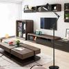 Black/white Iron Floor Lamp with Adjustable Angle, Suitable for Bedroom, Study and Living Room Home Decoration Lamp.