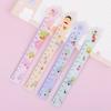 Creative Cute Semi-Transparent Ruler for Energetic Primary School Students - Ideal for Drawing and Measuring.