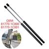 Pair Tailgate Gas Spring Car Trunk Lift Arm Easy Install Tailgate Shock Automotive Replacement Part for Automotives 