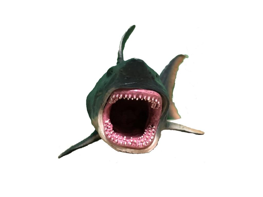 Crop Ancient Fish Figure Megalodon Impressive Size 25cm Long Dinosaur Model (Megalodon)