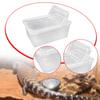 Feeding And Breeding Box for Reptiles with Lid Ventilation Holes, Mini, Transparent, Horned