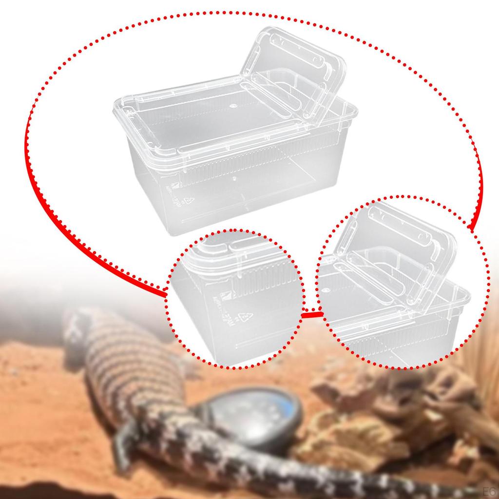Feeding And Breeding Box for Reptiles with Lid Ventilation Holes, Mini, Transparent, Horned
