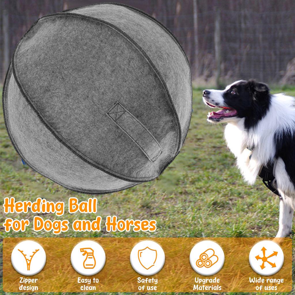 Pet Big Inflatable Ball Dog Training Toy with Air Pump Interactive Games Outdoor Portable Collie Dog Toy Ball