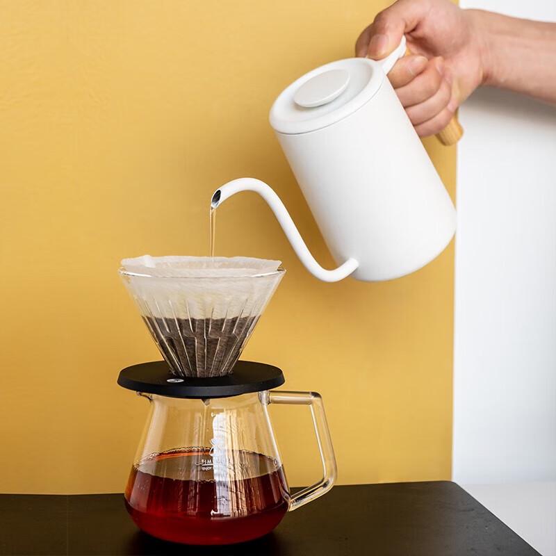 Timemore Fish Youth Pour Over Coffee Kettle